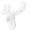 Buy Wall Decoration - White Moose Head - Ika White 55734 in the United Kingdom