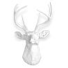 Buy Wall Decoration - White Deer Head - Ika White 55737 - in the UK