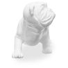 Buy Decorative Design Bulldog Dog Sculpture - Resin White 58444 in the United Kingdom