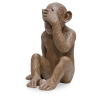 Buy Decorative Design Figure - Blind Monkey - Sense Brown 58446 with a guarantee
