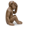 Buy Decorative Design Figure - Blind Monkey - Sense Brown 58446 in the United Kingdom