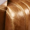 Buy Design Sofa Churchill Lounge - 2 places - Premium Leather & Stainless Steel Vintage brown 48369 in the United Kingdom