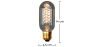 Buy Edison Valve filaments Bulb - 14cm Transparent 59201 at MyFaktory