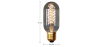 Buy Edison Valve filaments Bulb - 11cm Transparent 50776 at MyFaktory