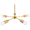 Buy Golden Pendant Lamp in Modern Style, Brass - Carla Gold 59834 at MyFaktory