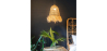 Buy Hanging Lamp Boho Bali Design Natural Raffia - Hue Natural wood 60046 - in the UK