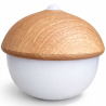 Buy Table Lamp USB Rechargeable LED with Touch Sensor – Warm Light – Acorn Natural wood 60101 - in the UK