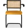 Buy Dining Chair, Natural Rattan And Velvet, Black Legs - Nema Mustard 60459 - prices