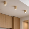 Buy Wooden Ceiling Spotlight - Kala Natural 60676 with a guarantee