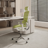 Buy Ergonomic Office Chair with Wheels and Armrests - Techas Green 61281 home delivery