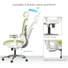 Buy Ergonomic Office Chair with Wheels and Armrests - Techas Green 61281 with a guarantee