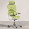 Buy Ergonomic Office Chair with Wheels and Armrests - Techas Green 61281 with a guarantee