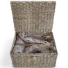 Buy Natural Fiber Basket with Lid - 40x30CM - Vernui Brown 61313 in the United Kingdom