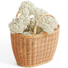 Buy Rattan Basket with Handles - Frinay Natural 61318 - prices