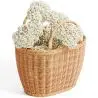 Buy Rattan Basket with Handles - Frinay Natural 61318 - in the UK