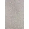 Buy Large Contemporary and Modern Design Rug - Beige (290x200 cm) - Tune Beige 61445 - in the UK