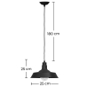 Buy Edison Colored Lampshade Pendant Lamp - Carbon Steel Black 50878 home delivery