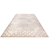 Buy Vintage Oriental Carpet - (200x290 cm) - Cascade Beige 61708 - prices