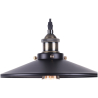 Buy Edison 161 Pendant Lamp – Aluminum Black 50859 - prices