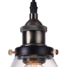 Buy Edison Large Crystal Lampshade Pendant Lamp - Carbon Steel Bronze 50875 - prices